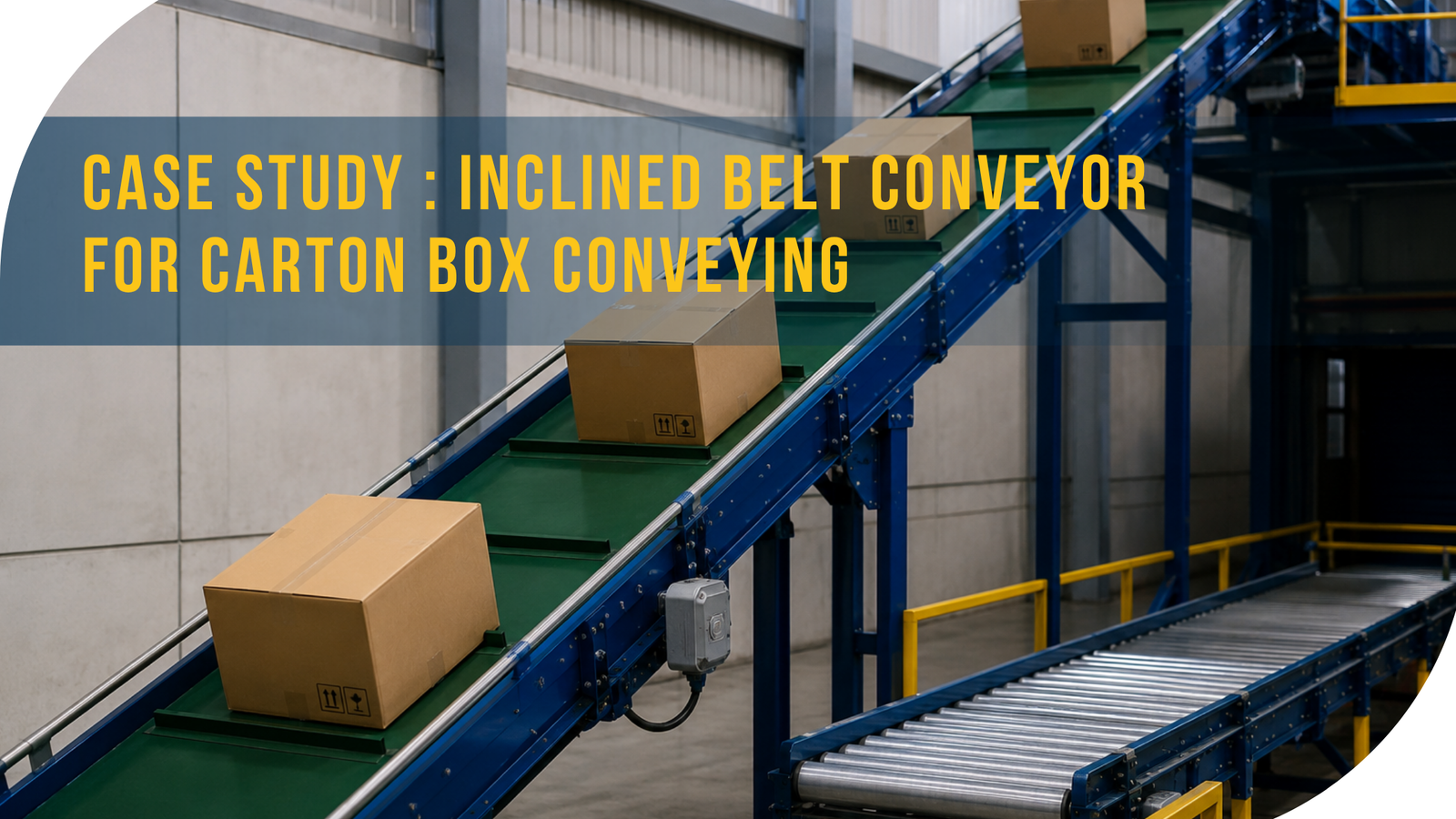 Case Study: Inclined Belt Conveyor for Carton Box Conveying