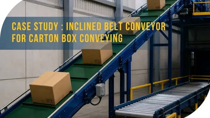 Case Study: Inclined Belt Conveyor for Carton Box Conveying