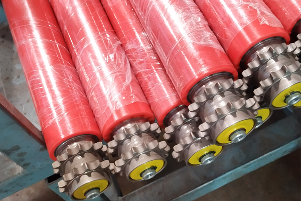 Sprocket Driven Rollers
